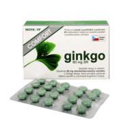 Rosenpharma Ginkgo Comfort 60mg 60tbl - cena, srovnání