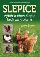 Slepice - cena, srovnání