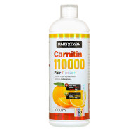 Survival L-Carnitin 110000 1000ml - cena, srovnání