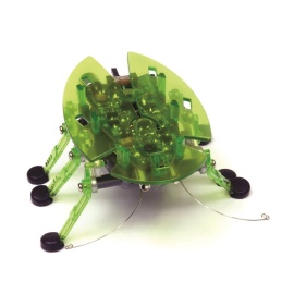 Hexbug Beetle