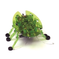 Hexbug Beetle - cena, srovnání