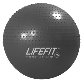 Life Fitness Massage Ball 75cm