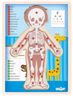 Woody Oboustranné puzzle Lidské tělo chlapec anglicky - cena, srovnání