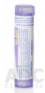 Boiron Magnesia Phosphorica CH30 4g - cena, srovnání