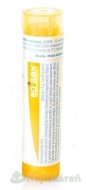 Boiron Magnesia Phosphorica CH15 4g - cena, srovnání