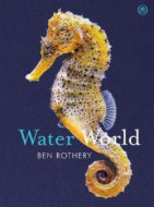 Water World - cena, srovnání