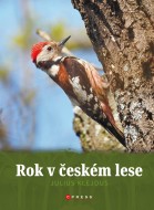 Rok v českém lese - cena, srovnání