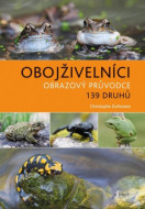 Obojživelníci - cena, srovnání