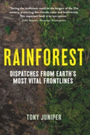 Rainforest - cena, srovnání