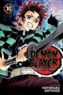 Demon Slayer Kimetsu no Yaiba 10 - cena, srovnání