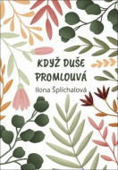 Když duše promlouvá - cena, srovnání