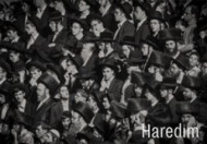 Haredim - cena, srovnání