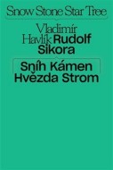 Sníh, kámen, hvězda, strom - cena, srovnání