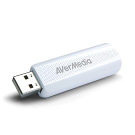 AverMedia TD310
