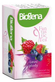 Biogena Fantastic Tea Lesné plody 20x2.2g