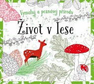 Život v lese - omalovánky - cena, srovnání