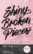 Tiny Pretty Things 2: Shiny Broken Pieces - cena, srovnání