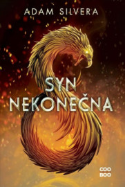 Syn nekonečna