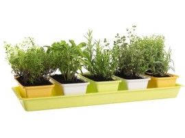 Plastkon MINIGARDEN 60 x 40 x 38 cm