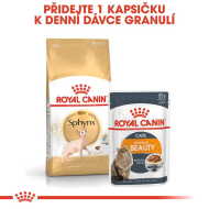 Royal Canin Sphynx Adult 10kg - cena, srovnání