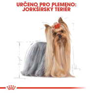 Royal Canin Yorkshire 12x85g - cena, srovnání