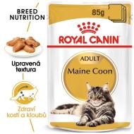 Royal Canin Maine Coon 85g - cena, srovnání