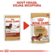Royal Canin Dachshund 12x85g - cena, srovnání