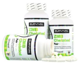 Survival ZMB Chelated Fair Power 120tbl