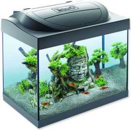 Tetra Starter Line LED 30l