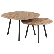 vidaXL 2-dielna súprava konferenčných stolíkov recyklované tíkové drevo šesťuholníková - cena, srovnání