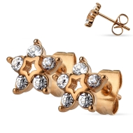 Šperky4u Zlacené ocelové náušnice - kytičky - cena, srovnání