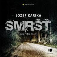 Smršť - audiokniha - cena, srovnání