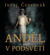 Anděl v podsvětí (audiokniha) - cena, srovnání