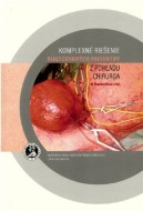 Komplexné riešenie dialyzovaných pacientov z pohľadu chirurga - cena, srovnání