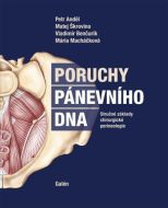 Poruchy pánevního dna - cena, srovnání