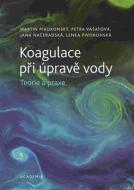 Koagulace při úpravě vody - Teorie a praxe - cena, srovnání