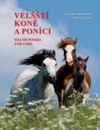 Velšští koně a poníci / Welsh Ponies and Cobs - cena, srovnání
