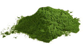 Lifelike BIO Chlorella 100g