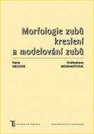 Morfologie zubů - cena, srovnání