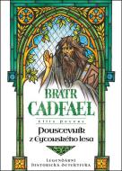Poustevník z Eytonského lesa - cena, srovnání