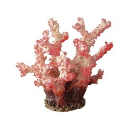 Ferplast Blu 9133 Red Coral