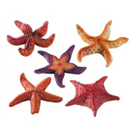 Ferplast Blu 9158 Starfish Small