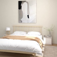 vidaXL Nočné stolíky 2 ks biele 40x30,5x40 cm borovicový masív - cena, srovnání