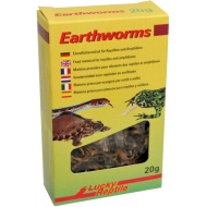 Lucky Reptile Earthworms 10 g
