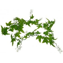 Lucky Reptile Ivy Vine 200 cm