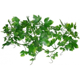 Lucky Reptile Jungle Vine Gape Leaf Vine 200 cm