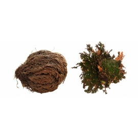 Lucky Reptile Rose of Jericho 50 g FP-64210