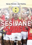 Sešívané srdce - cena, srovnání