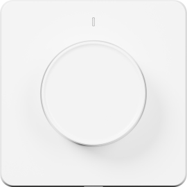 Tesla Smart Dimmer