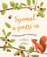 Spomaľ a pozri sa - cena, srovnání